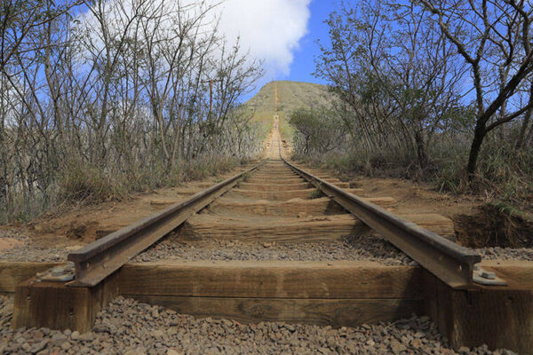 Man in his 40s suffers cardiac arrest hiking Koko Crater trail