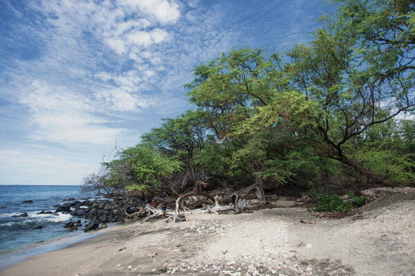 Hawaii to receive $23.5M for Kawaihae Harbor