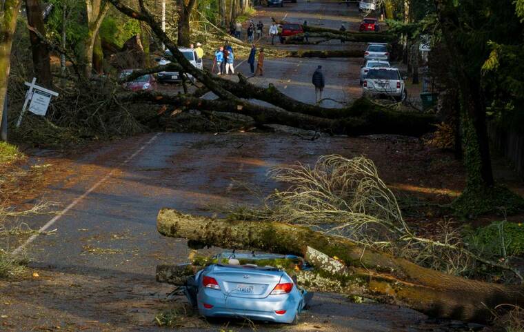 REUTERS/DAVID RYDER
                                A drone view shows multiple fallen trees after a powerful storm hit the U.S. Pacific Northwest and western Canada, causing power outages in Washington, Oregon, California and British Columbia while wreaking havoc on road travel, in Seattle, Wash., today.