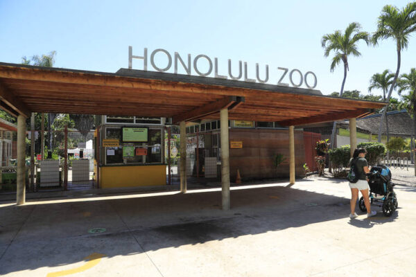 Letter: Honolulu Zoo much improved; open later for visits