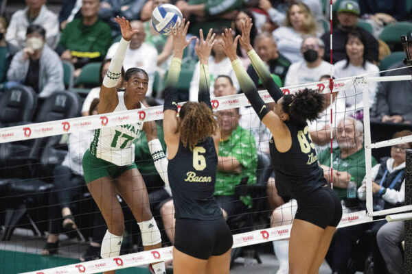 Wahine take on UC Davis in Big West volleyball semifinals